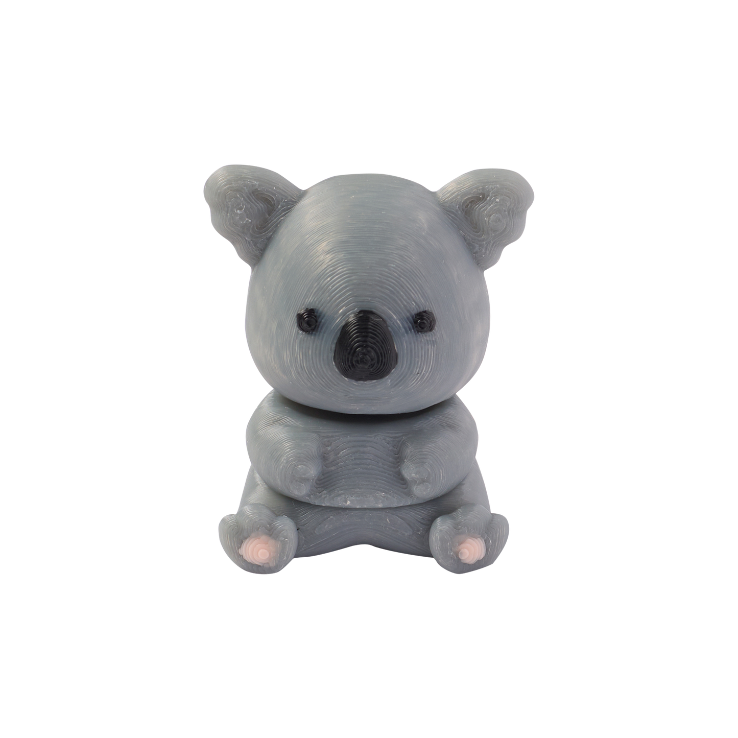Kiki the Kind Koala - Wild Wonders ๐จ