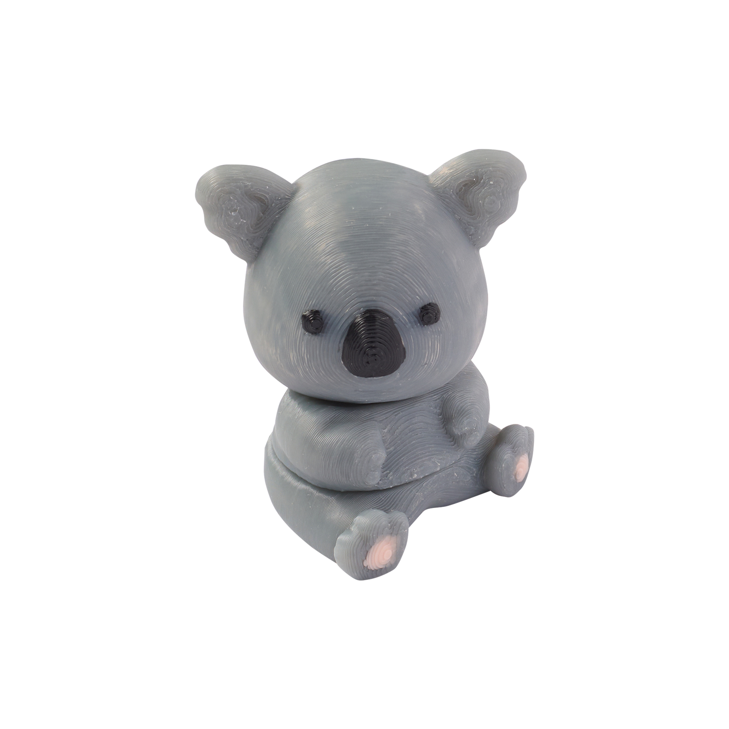 Kiki the Kind Koala - Wild Wonders ๐จ