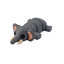 Ellie the Elegant Elephant - Wild Wonders 🐘
