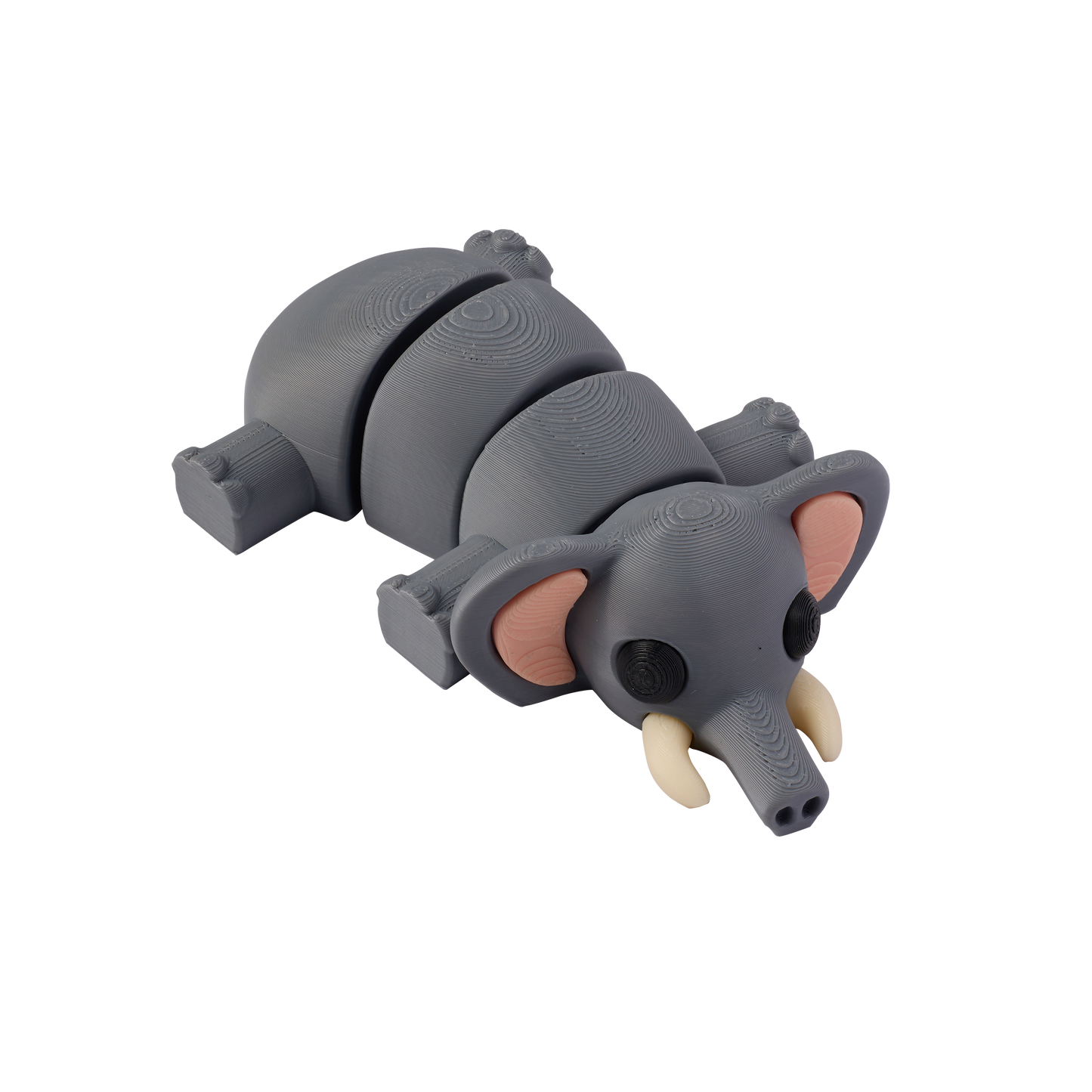 Ellie the Elegant Elephant - Wild Wonders 🐘