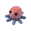 Ocho the Oddball Octopus - Aquatic Adventures 🐙