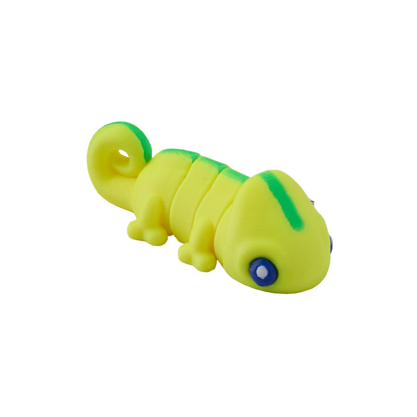 Goji the Giggly Gecko - Aquatic Adventures🦎